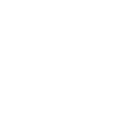 Fraud & Security